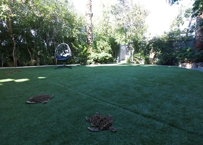 Apartment Kalafatis *